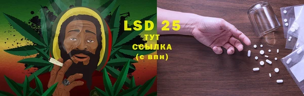 mdpv Новозыбков