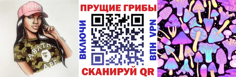 хочу   Чебоксары  OMG вход  Галлюциногенные грибы Cubensis 