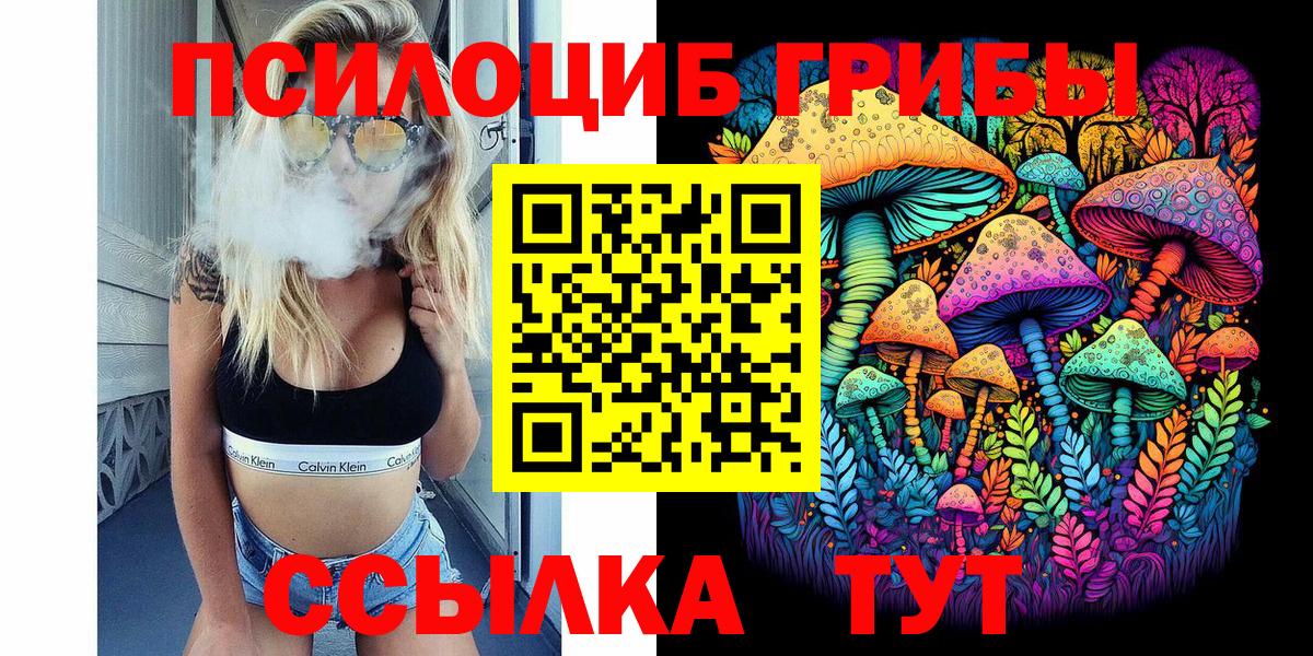 Псилоцибиновые грибы Magic Shrooms  дарнет шоп  Чебоксары  Вход с VPN 